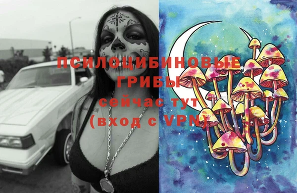 дурь Зеленокумск