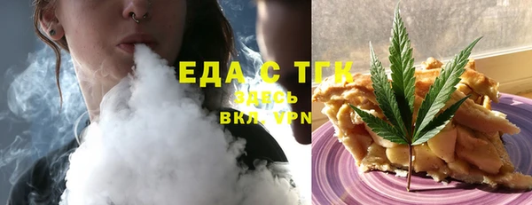 хмурый Пересвет