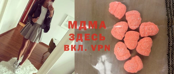 хмурый Пересвет
