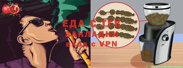 хмурый Пересвет
