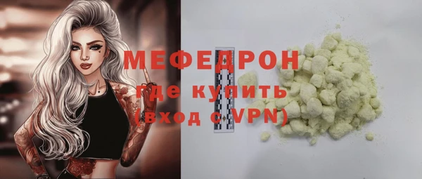 хмурый Пересвет
