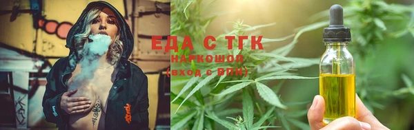 хмурый Пересвет