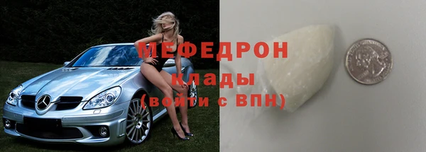 хмурый Пересвет
