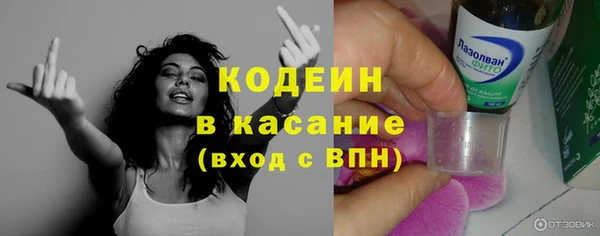хмурый Пересвет