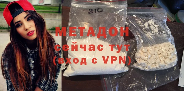 хмурый Пересвет