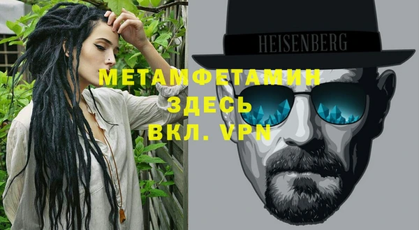 хмурый Пересвет