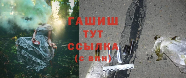 хмурый Пересвет