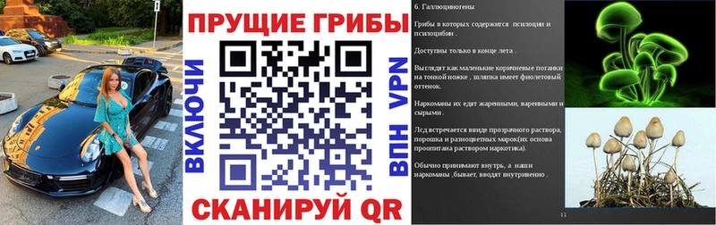 Галлюциногенные грибы прущие грибы  Карачев 
