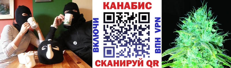 Бошки марихуана White Widow  нарко площадка какой сайт  Карачев 